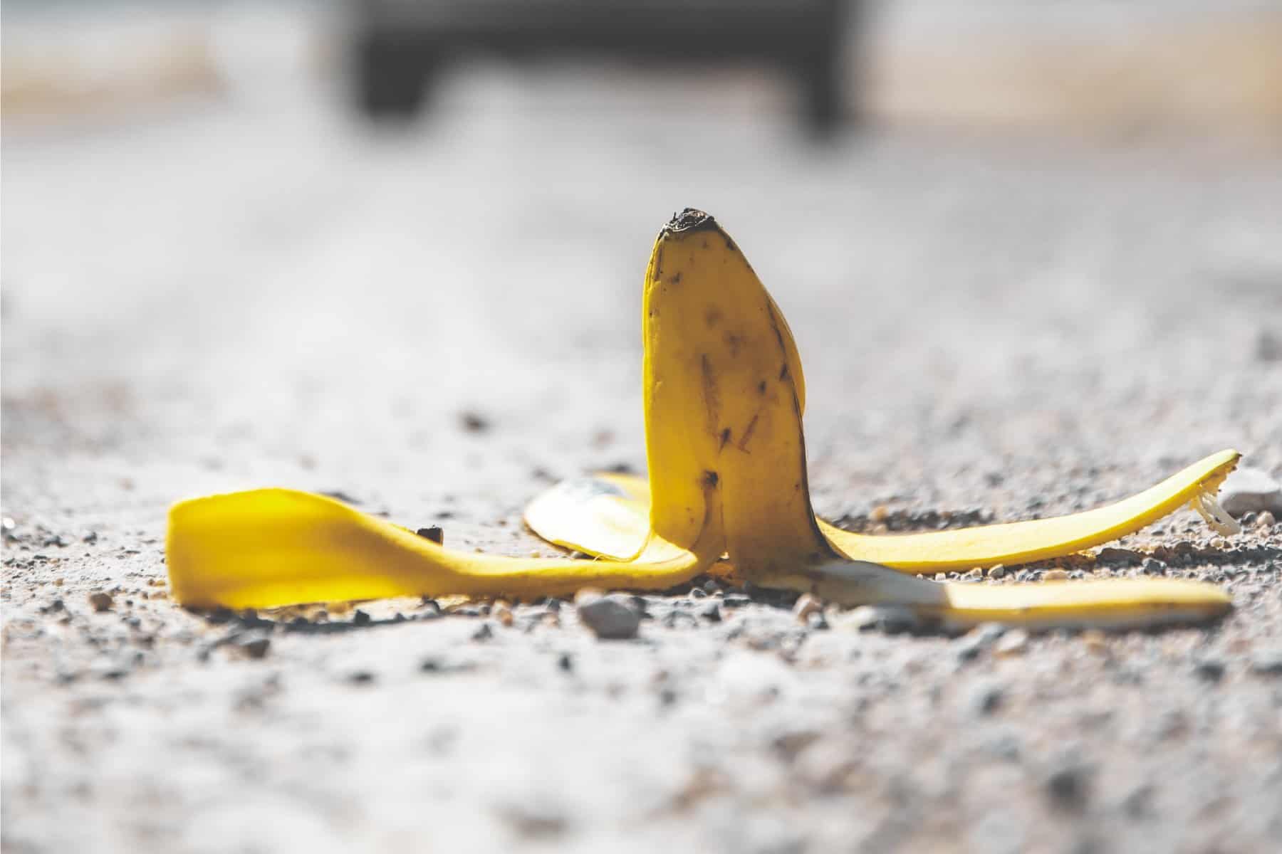 A banana peel on a dirt road.