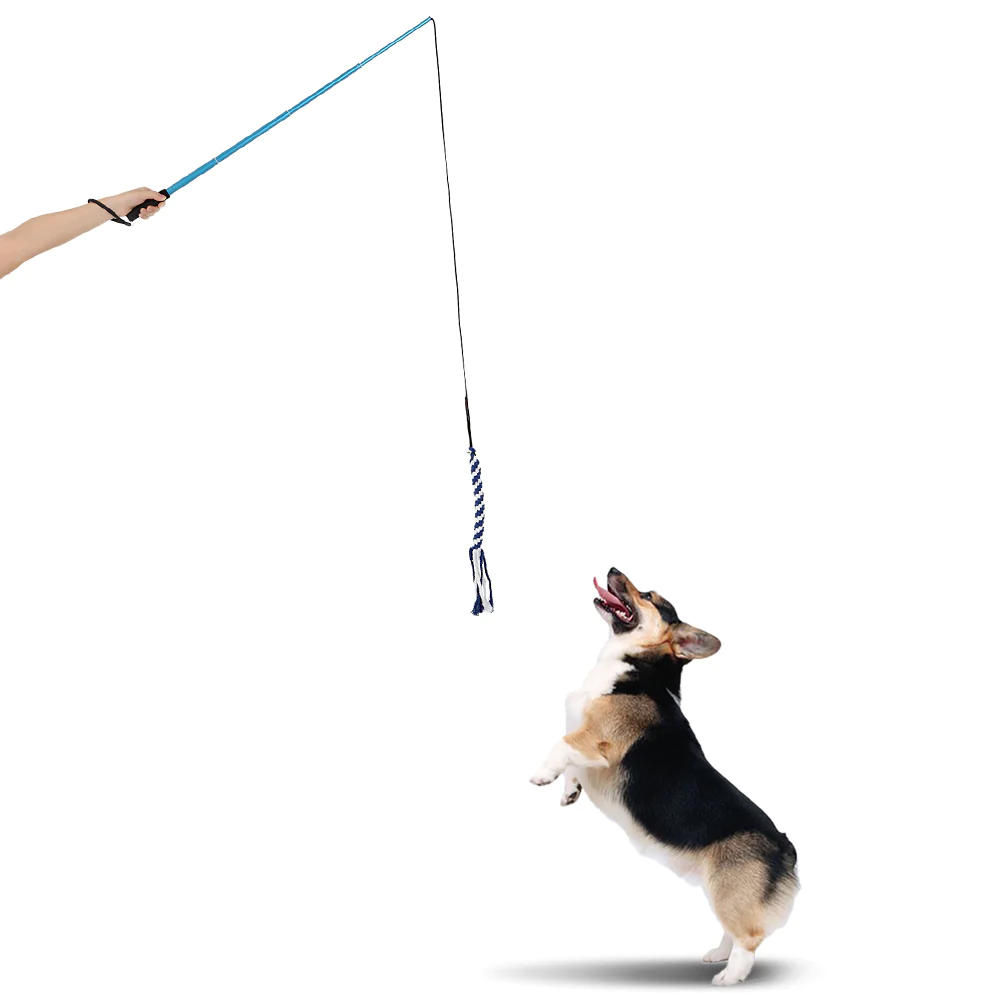 This is a flirt pole with a pole, a rope, and a lure – waiting for a dog to play.
